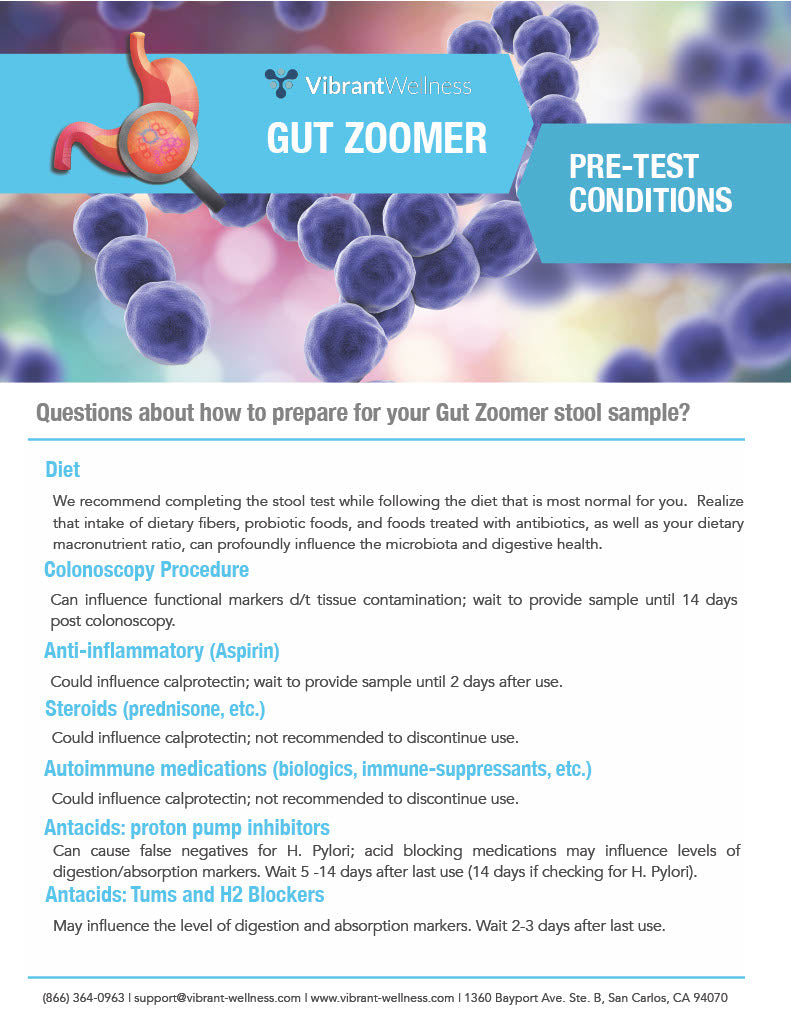 Gut Zoomer