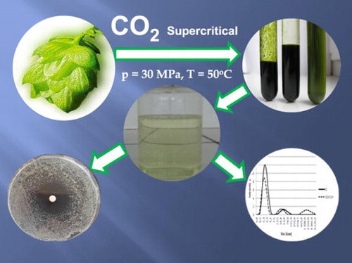 Natural Safe Appetite Suppression created by the Ancients