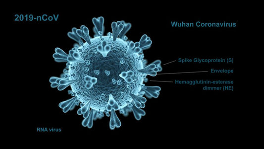 STOP CORONAVIRUS DEAD in its tracks