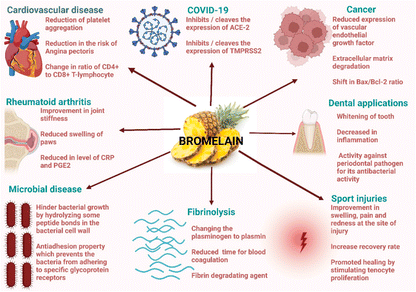 Bromelain-2400 500mg