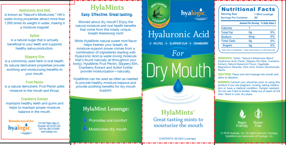 Hyaluronic Acid Dry Mouth and Gum Health Lozengers