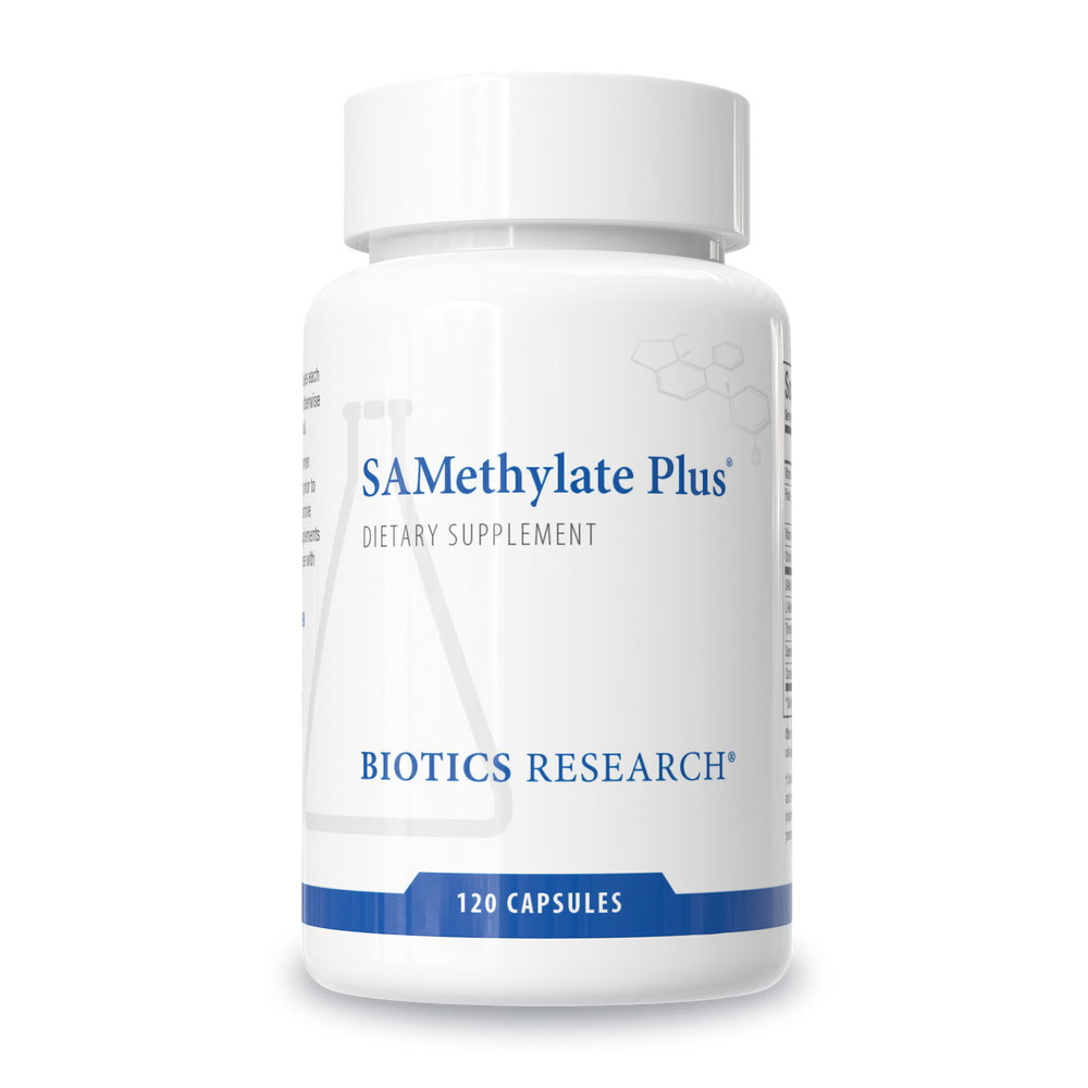 SAMethylate Plus