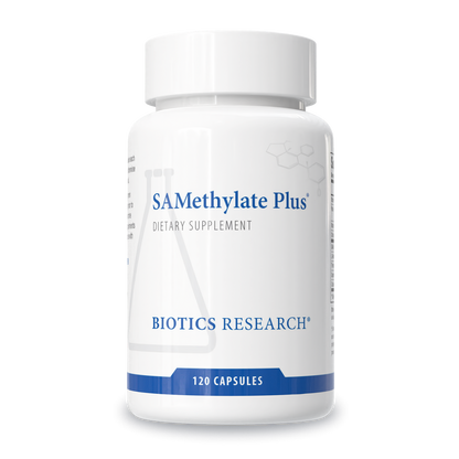 SAMethylate Plus