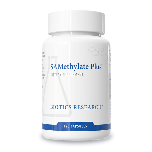 SAMethylate Plus