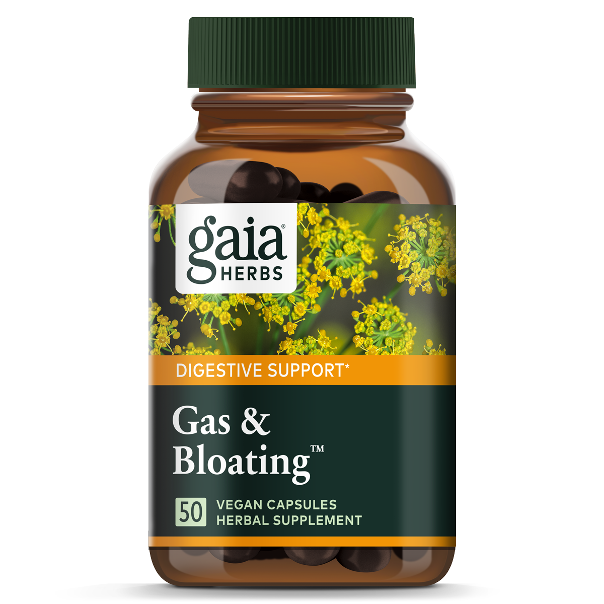 Gas and Bloating DIgestive Support