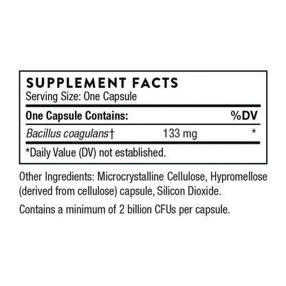 Bacillus Coagulans