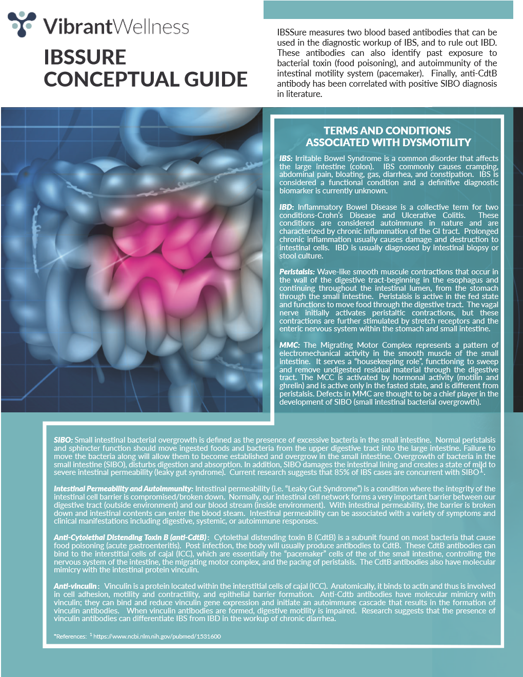 LEAKY GUT and Intestinal Permeability FOOD ZOOMERS