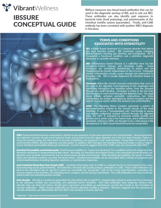 LEAKY GUT and Intestinal Permeability FOOD ZOOMERS