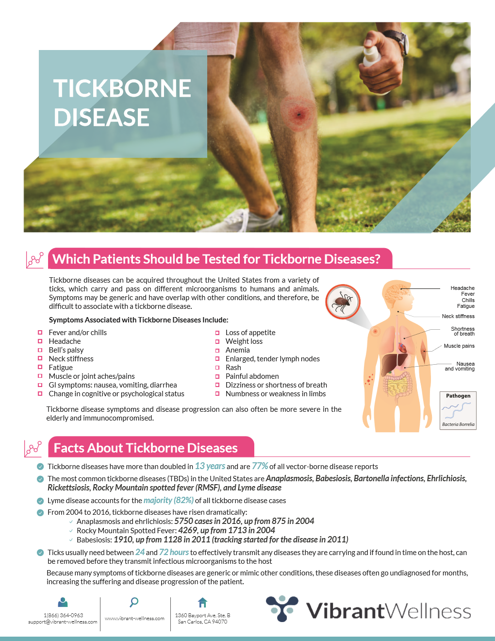 Lyme Disease and Co-Infection Infection Testing