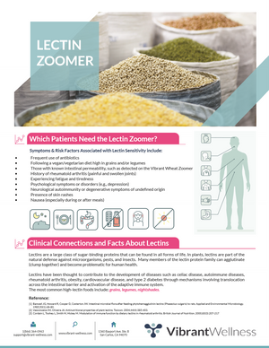 LEAKY GUT and Intestinal Permeability FOOD ZOOMERS