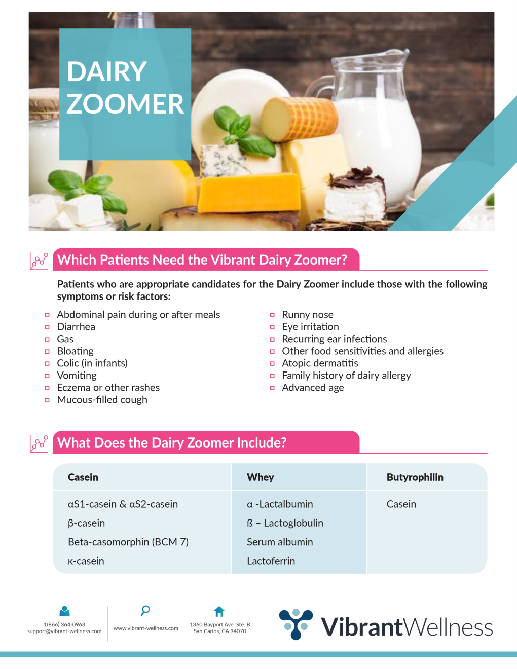 LEAKY GUT and Intestinal Permeability FOOD ZOOMERS