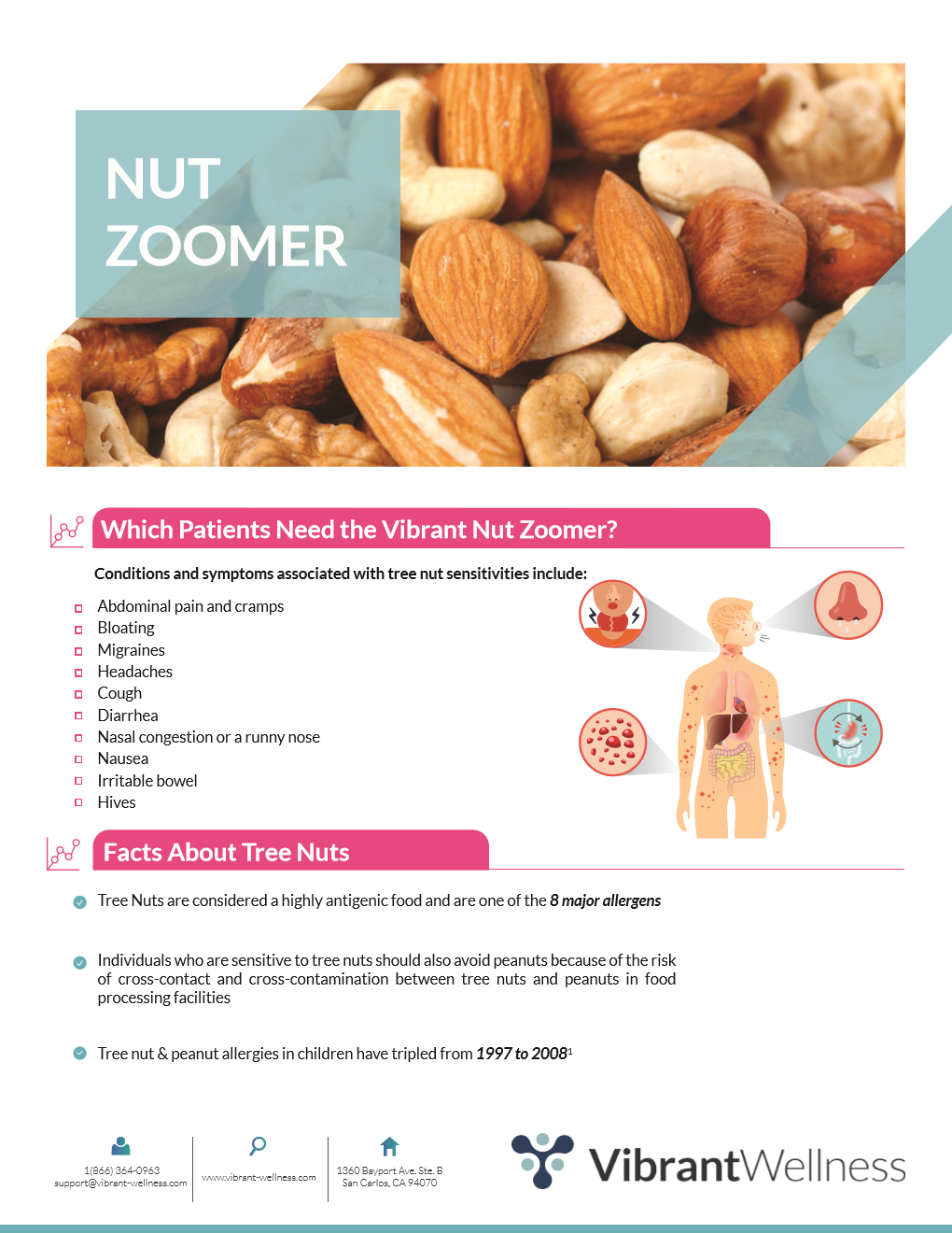 LEAKY GUT and Intestinal Permeability FOOD ZOOMERS