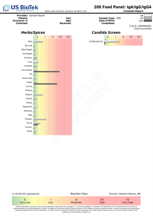 Food Allergy Test — Baseline IgG + IgA Antibody Assessment