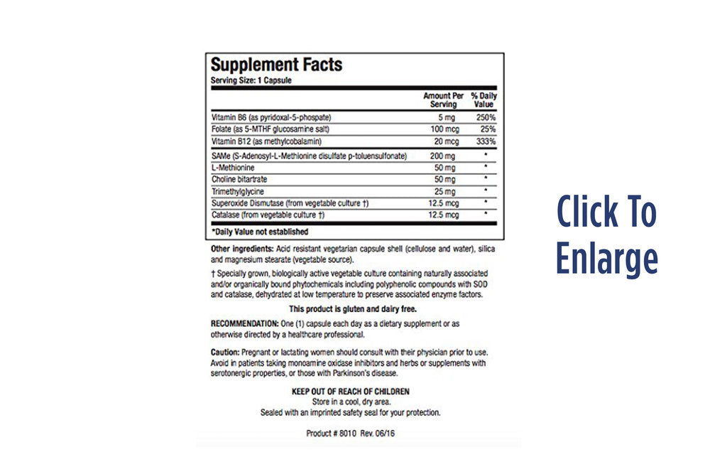 SAMethylate Plus