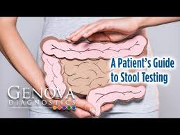 CDSA 2.0 — Comprehensive Digestive Stool Analysis with Parasitology