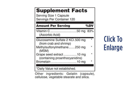 Glucosamine + MSM Forte