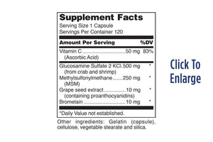 Glucosamine + MSM Forte