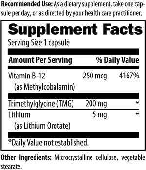 LITHIUM SYNERGY