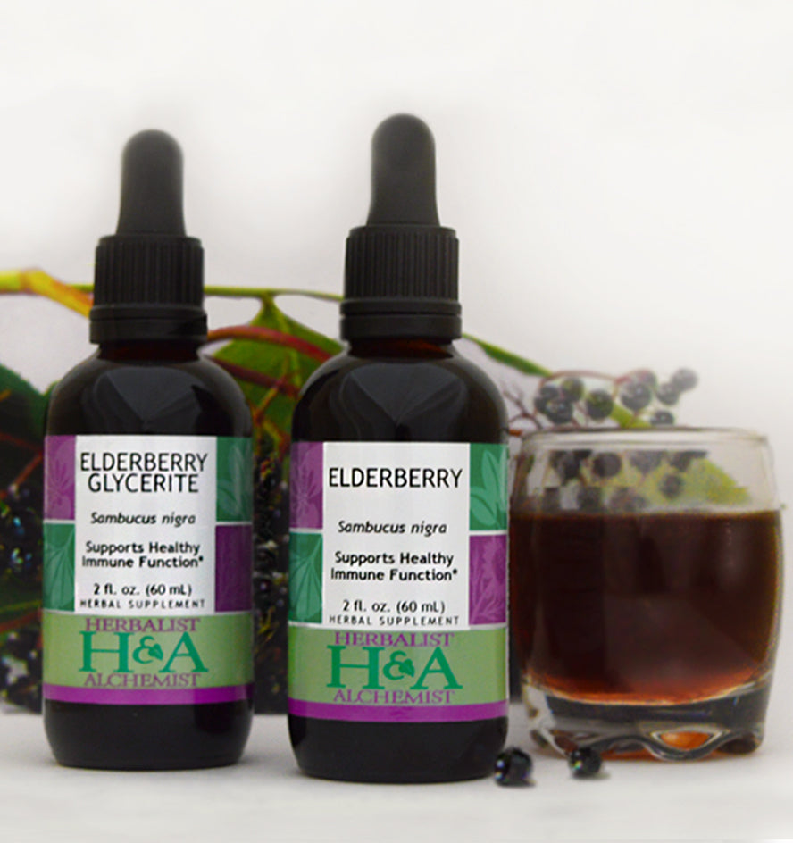 Elderberry